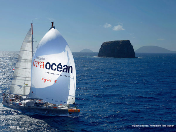 地球環境を守るために世界を航海する「タラ号」、子供たちからポスターデザインを募集