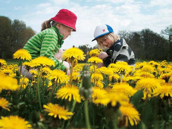 子供の環境保護意識を芽生えさせる！ 「森のムッレ教室」とは？