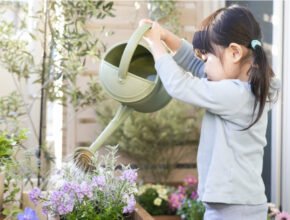 子供の好奇心を刺激し感性を豊かに。注目の「庭育」始め方ガイド＆おすすめアイテム！