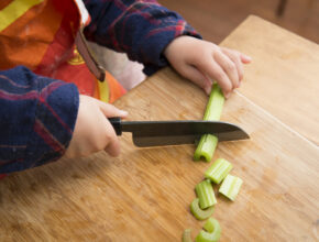 【食育】野菜はどこまで食べられる？ おうちでできる「食品ロス削減」チャレンジ！