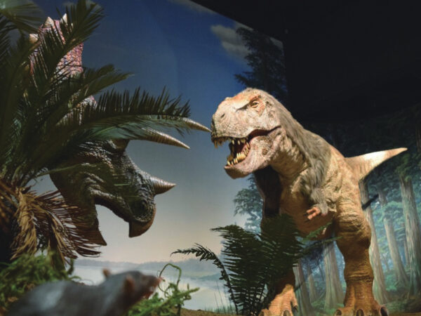 家族でお出かけ！ 子供から大人まで、好奇心が芽生える「自然教育」体験スポット5選