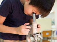 子供の能力を最大限に引き出す「ドルトンプラン教育」非認知能力を育む3つの柱とは？