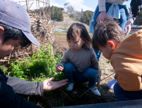 子供も一日中興味津々！ 家族のおでかけにオススメの自然体験型ファーム＆パークって？