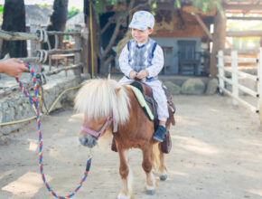 2022年に子供とチャレンジしたいことは？ ものづくり＆アウトドア体験ランキング