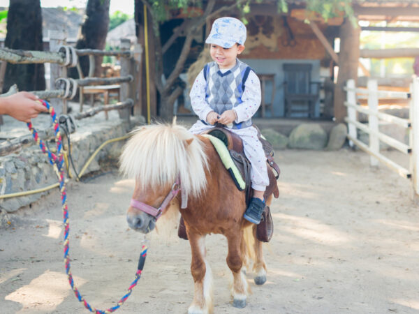 2022年に子供とチャレンジしたいことは？ ものづくり＆アウトドア体験ランキング