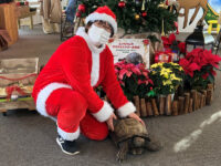 可愛いリクガメやジャングル探検も！ 親子で楽しめる植物館のクリスマスイベントって？