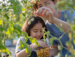 学んで・食べて・体験も!? 「ポケマルこども食育クラブ」が親子におすすめな理由