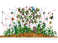 小さな生態系をつくって環境と多様性を学ぶ「シネコポータル・ワークショップ」とは？