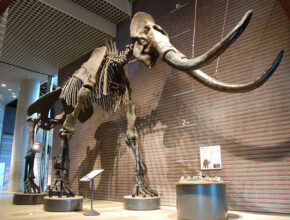 家族で行きたい！ 筑波の「楽しく学べる／体験できる」スポット5選＆おすすめホテル