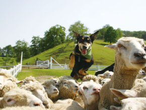 全国の“楽しく学べる”子連れお出かけスポット9選！ 恐竜、アート、サイエンスも