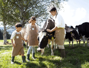 【2024夏】小学生向けサマープログラム8選！ 農業、自然、英語、文化を体験