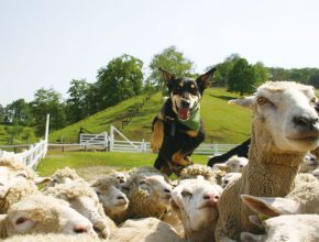 全国の“楽しく学べる”子連れお出かけスポット9選！ 恐竜、アート、サイエンスも