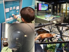 小学生が夢中になった「横浜の学び＆遊びスポット」4選｜住みたい街・横浜で子育てしてみた