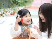 子連れファミリーにおすすめの「いちご狩り」スポット6選｜関東＆関西