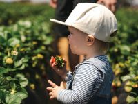 ヨーロッパの子育て文化6選。子どもたちが体験する「学びと遊び」の夏