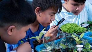 【8月開催】小学生向け都内近郊イベント5選！子どもの好奇心や探究心を向上させよう！【2026年版】